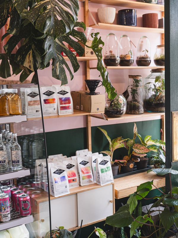 Top 5 Chocolate Spots: South West London