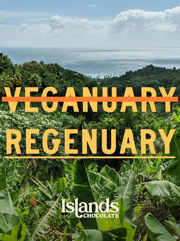 REGENUARY: What Regeneration means to us at islands