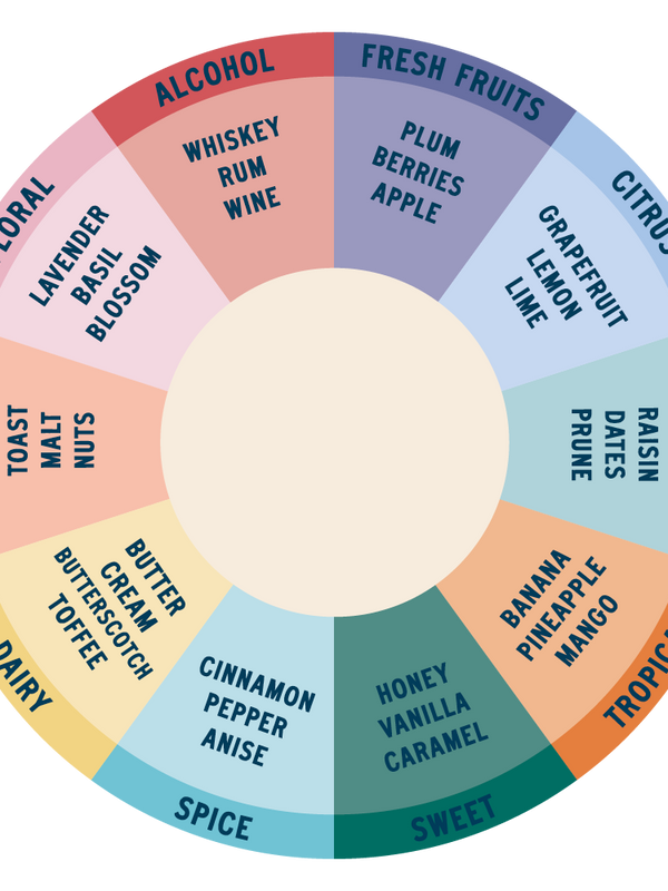 PROFESSIONAL GUIDE: The Art of Tasting Chocolate
