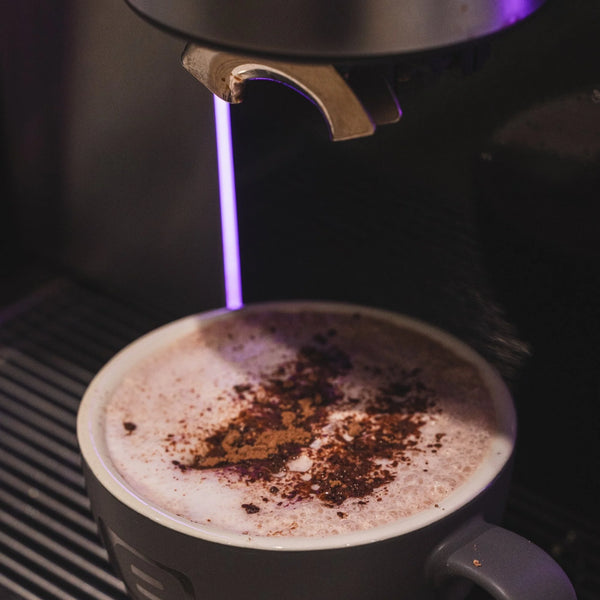 32% Hot Chocolate Powder - 1kg Bag